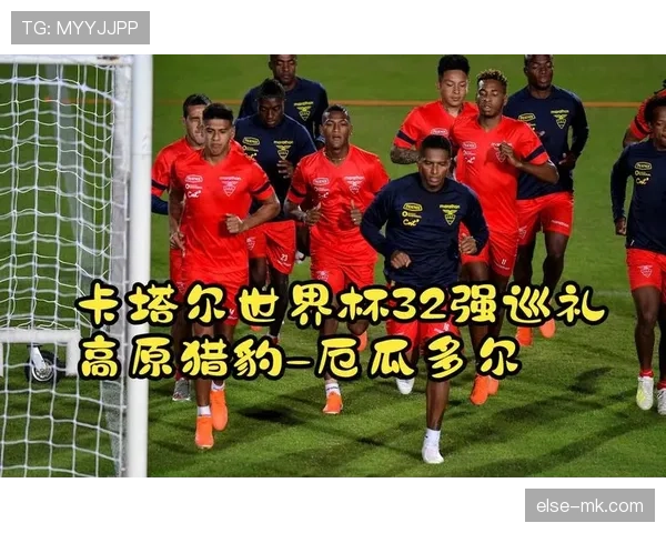 厄瓜多尔世界杯最大优势解析